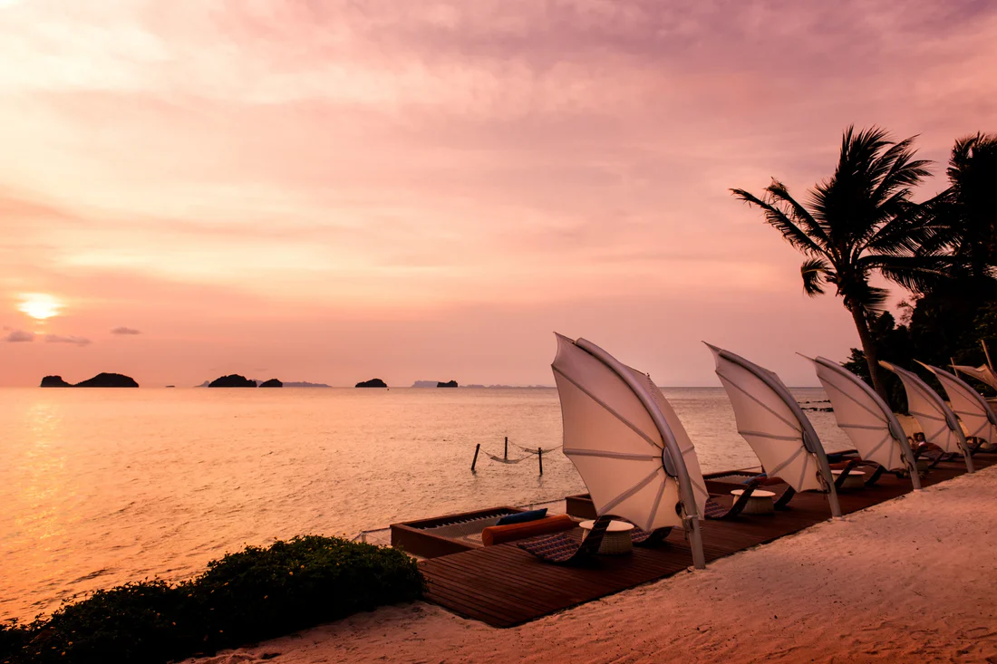 Outdoor Umbrellas for Hospitality Projects