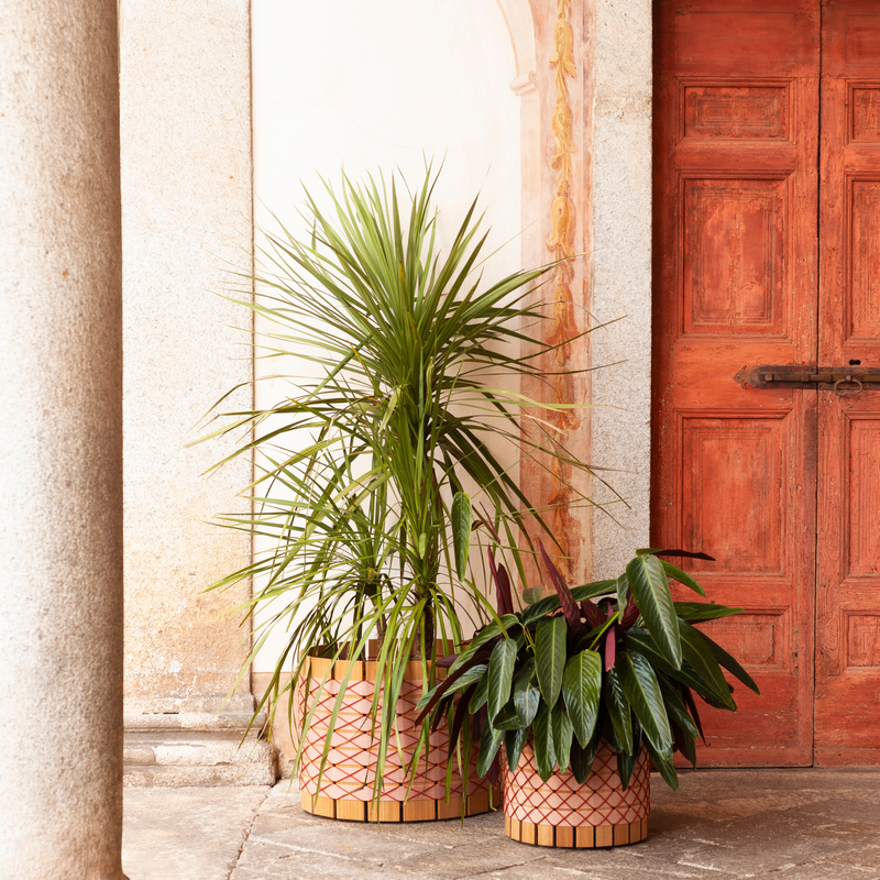 Roda Barrique Collection