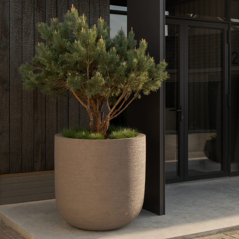Atelier ROA Grove Collection