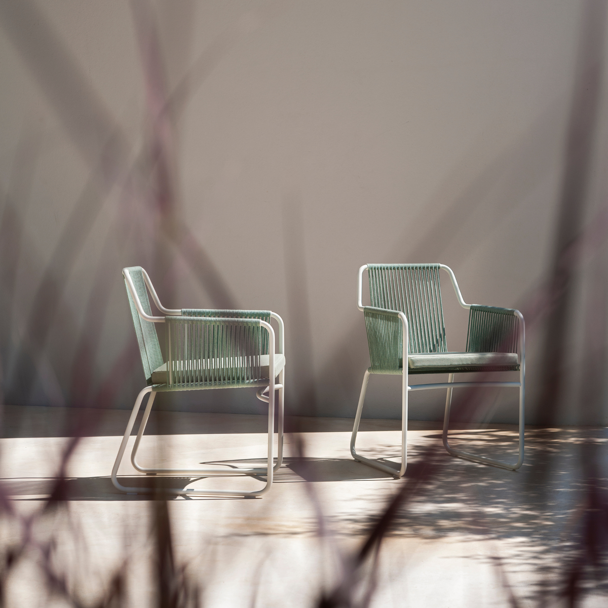 Roda Harp Collection