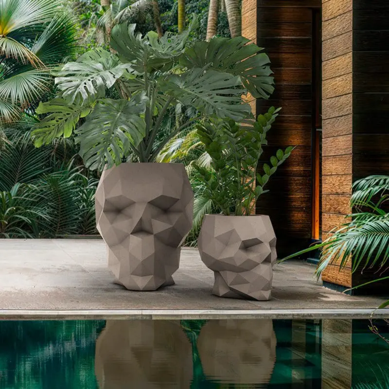 Skull