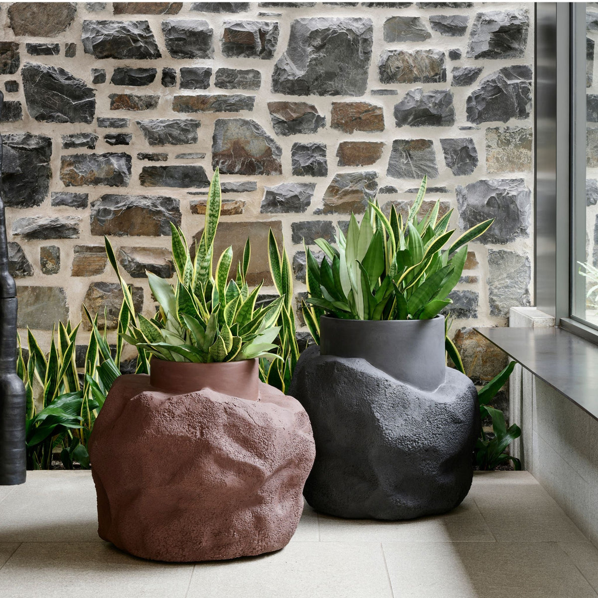 Indigenus Petra Collection