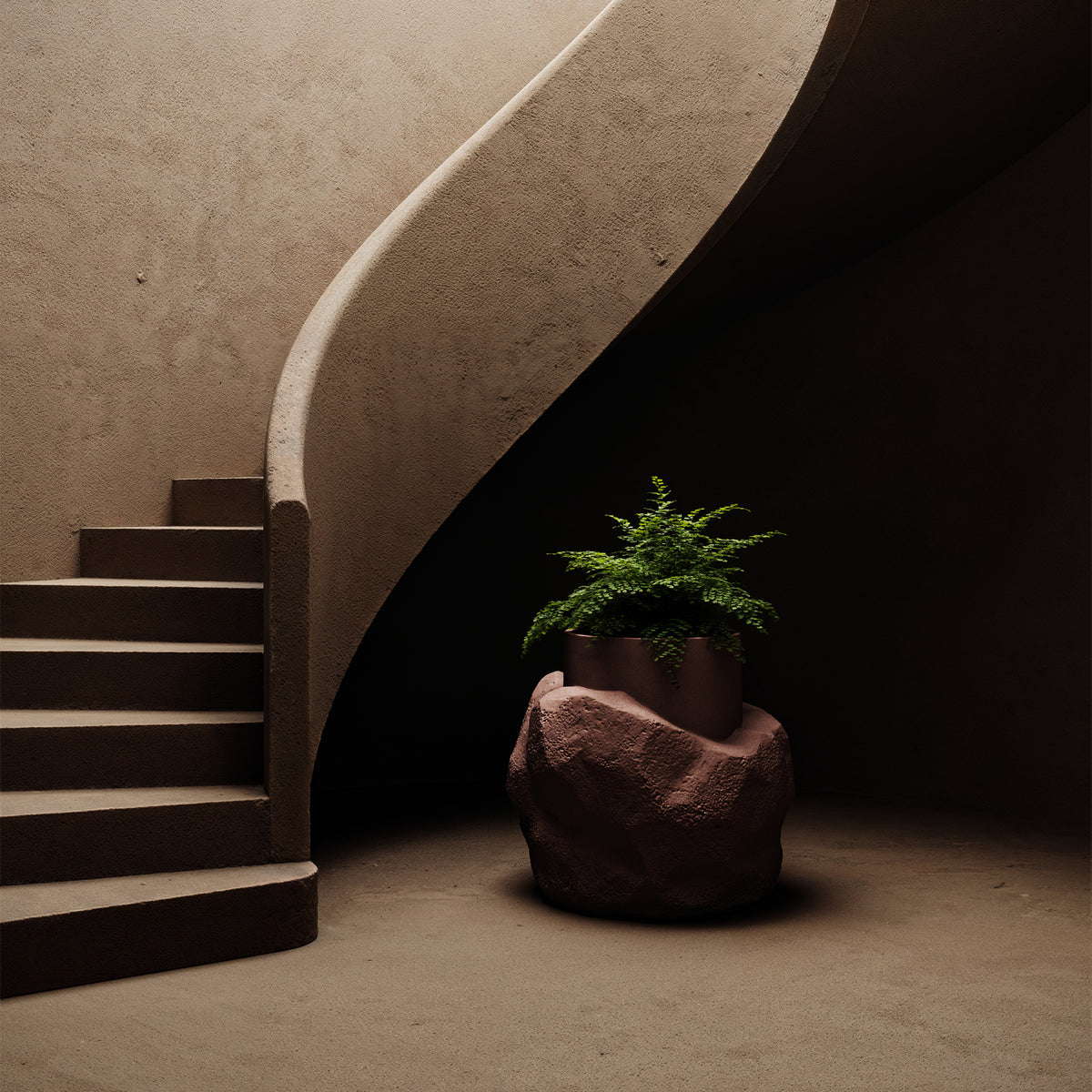 Petra Medium
