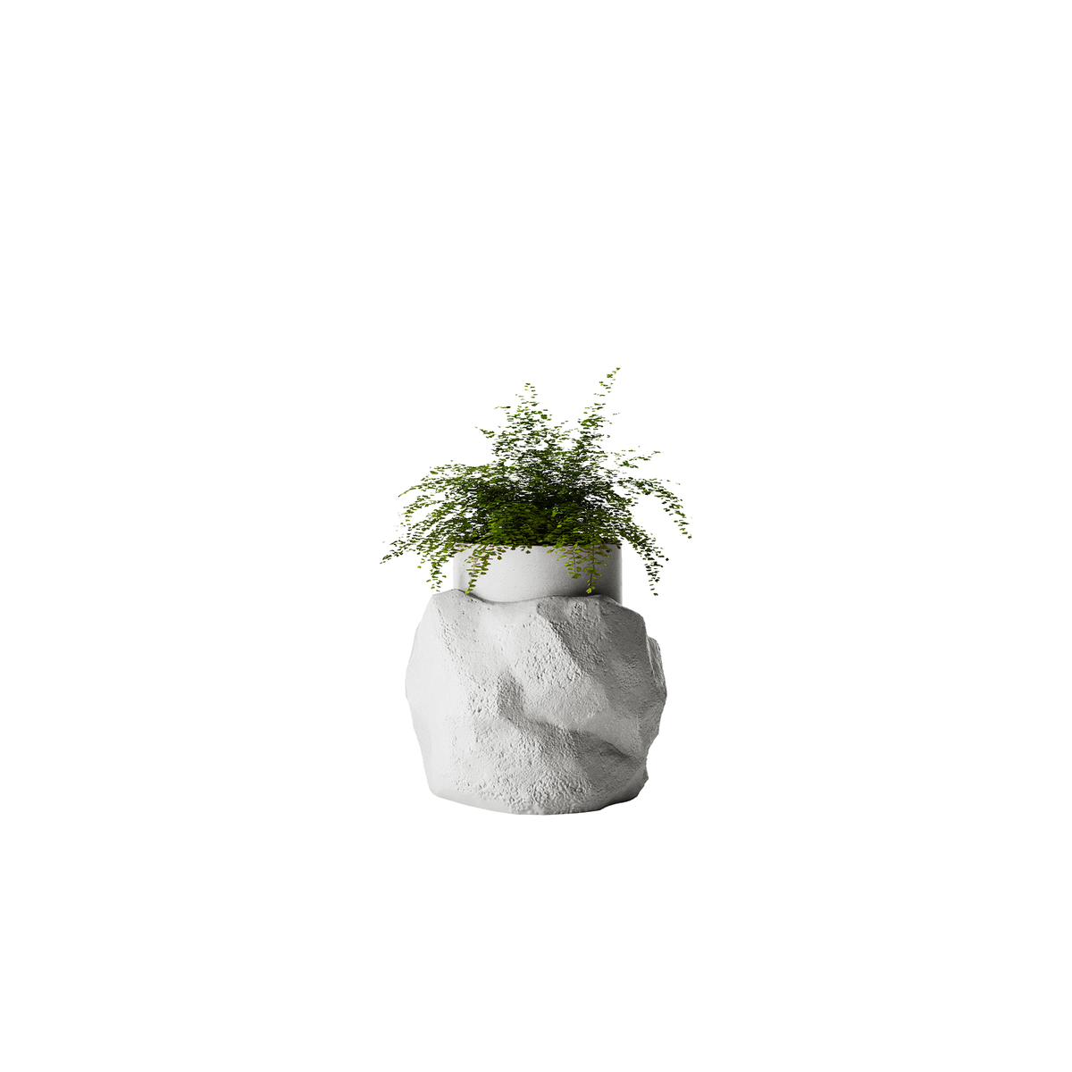 Petra Medium