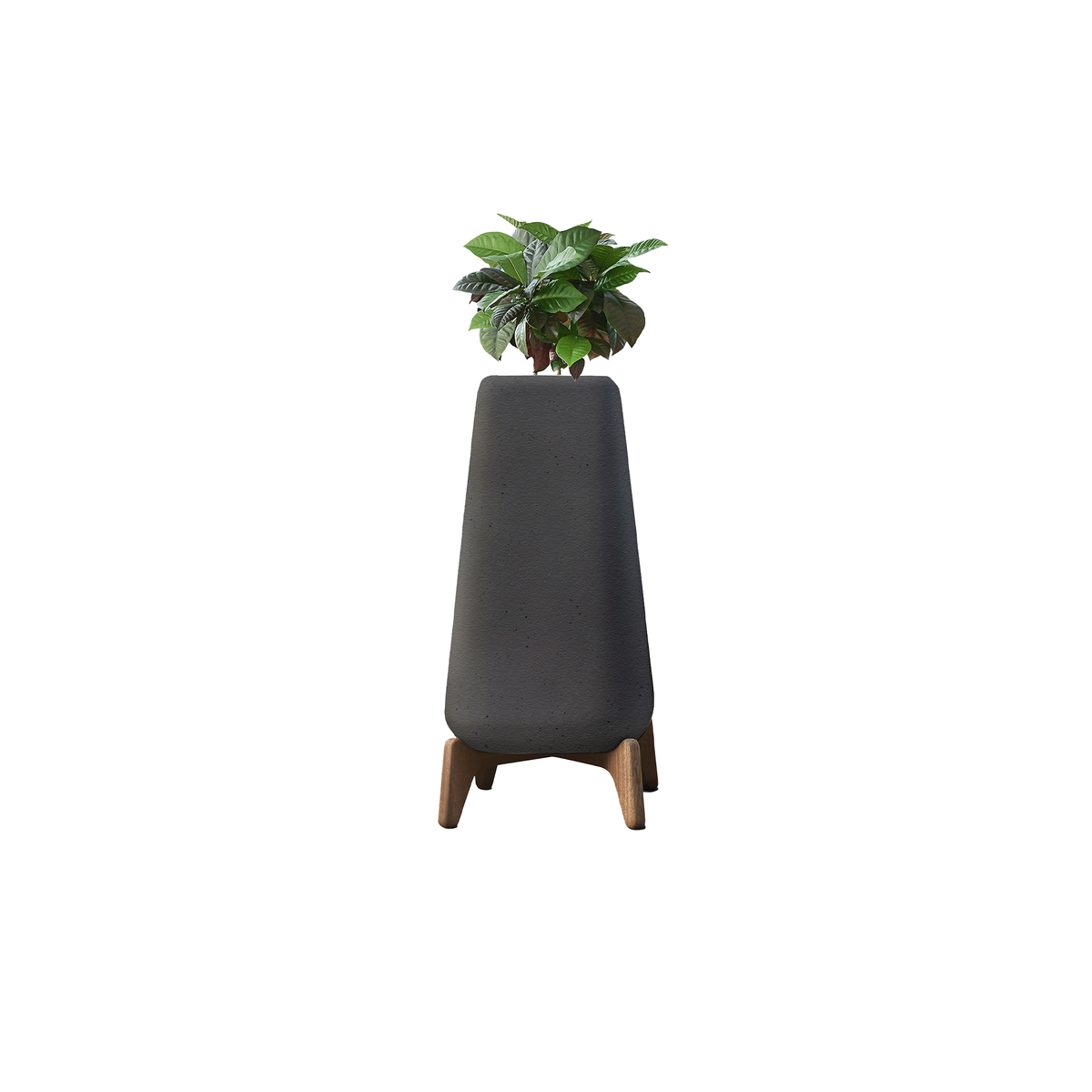 Terra Tall XS