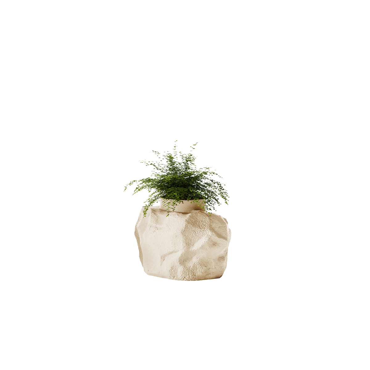 Petra Small