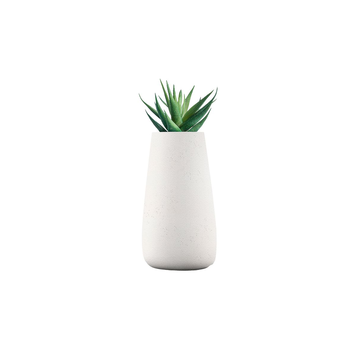 Tuber Tall Stone