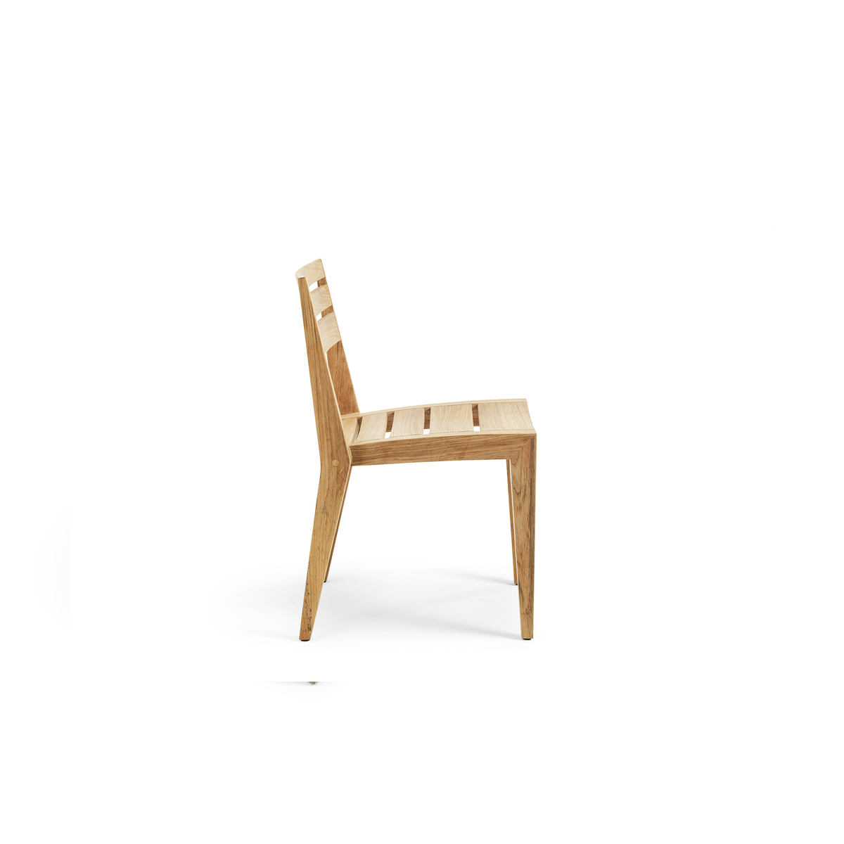 Ribot Dining Chair