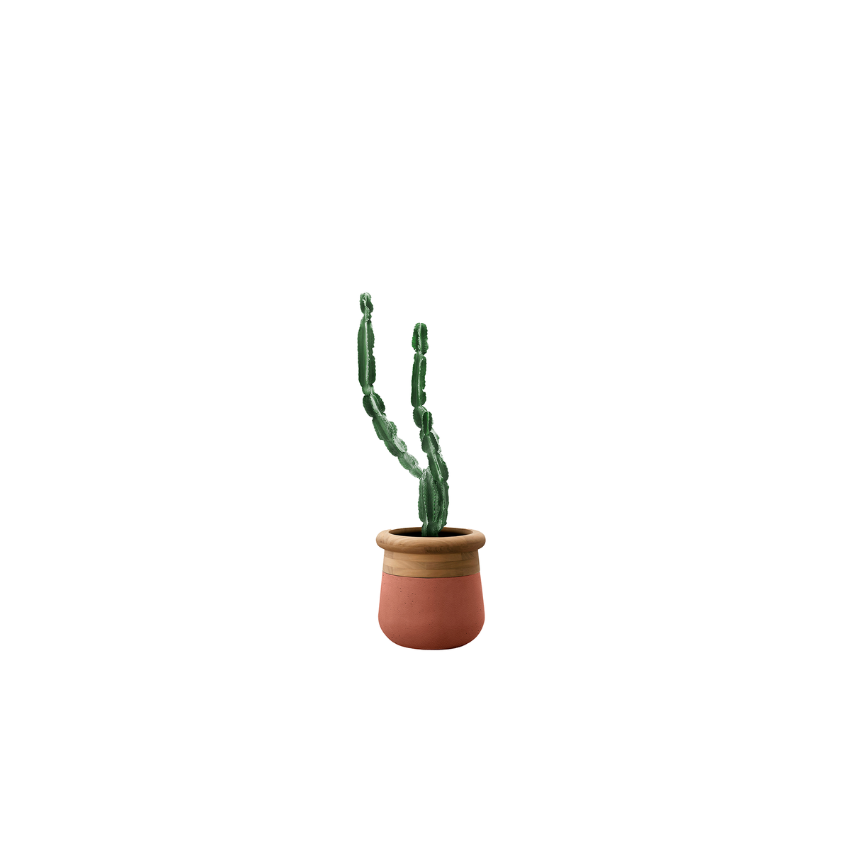 Soma Small