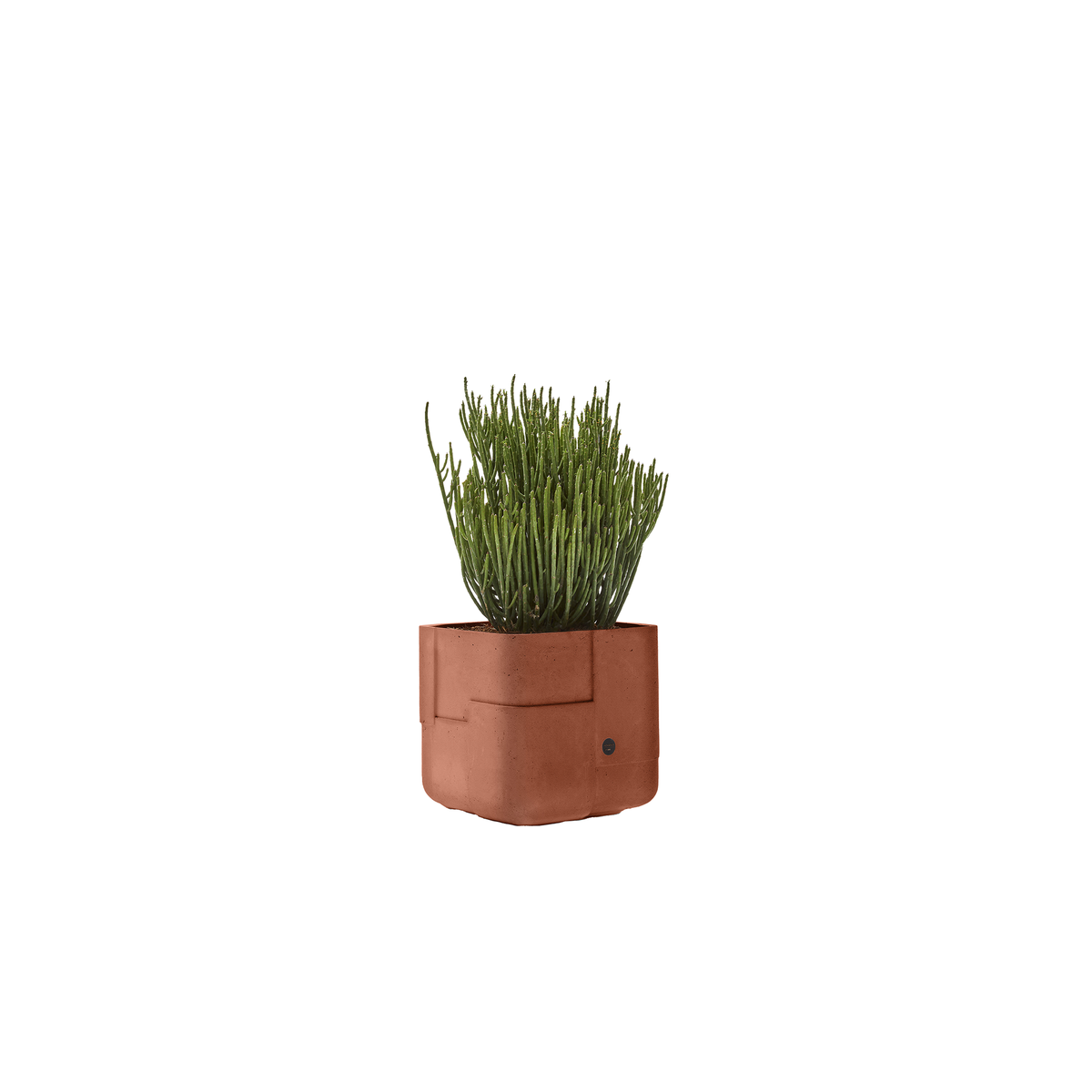 Aarde Square XS