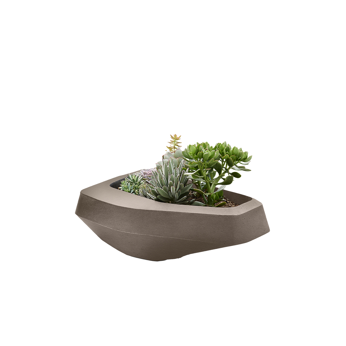 Steen Medium