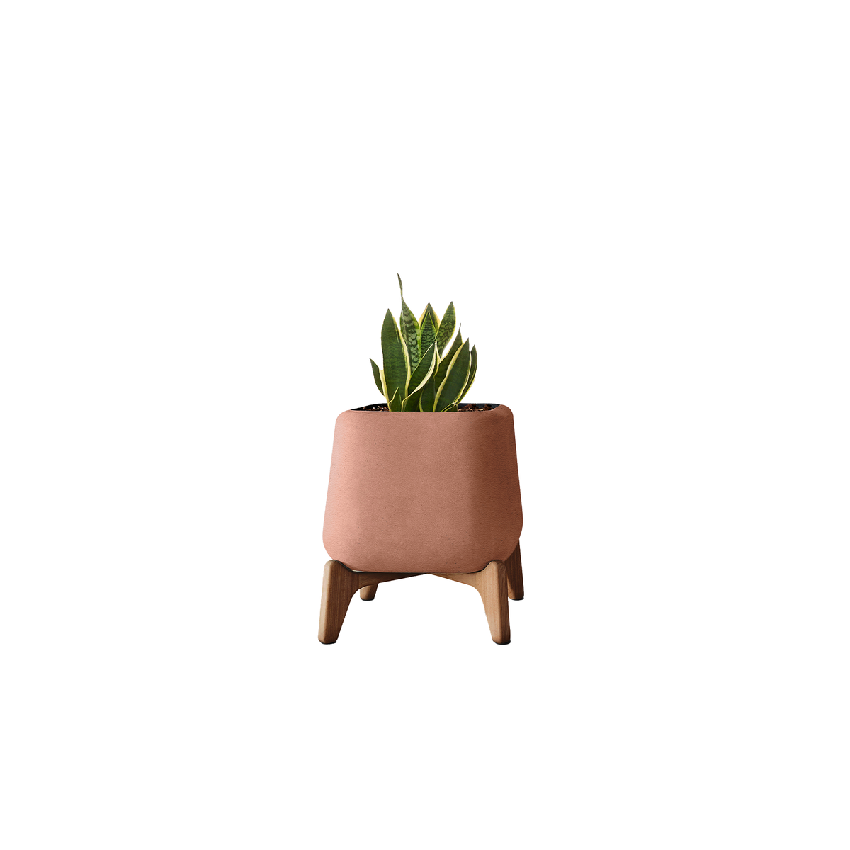 Terra Square XS
