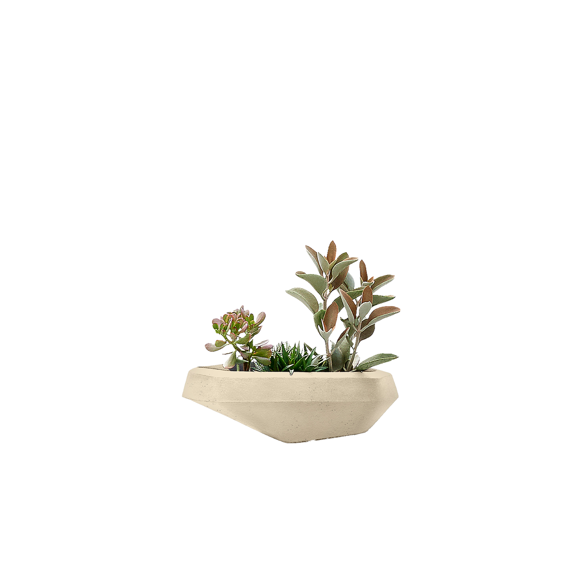 Steen Small