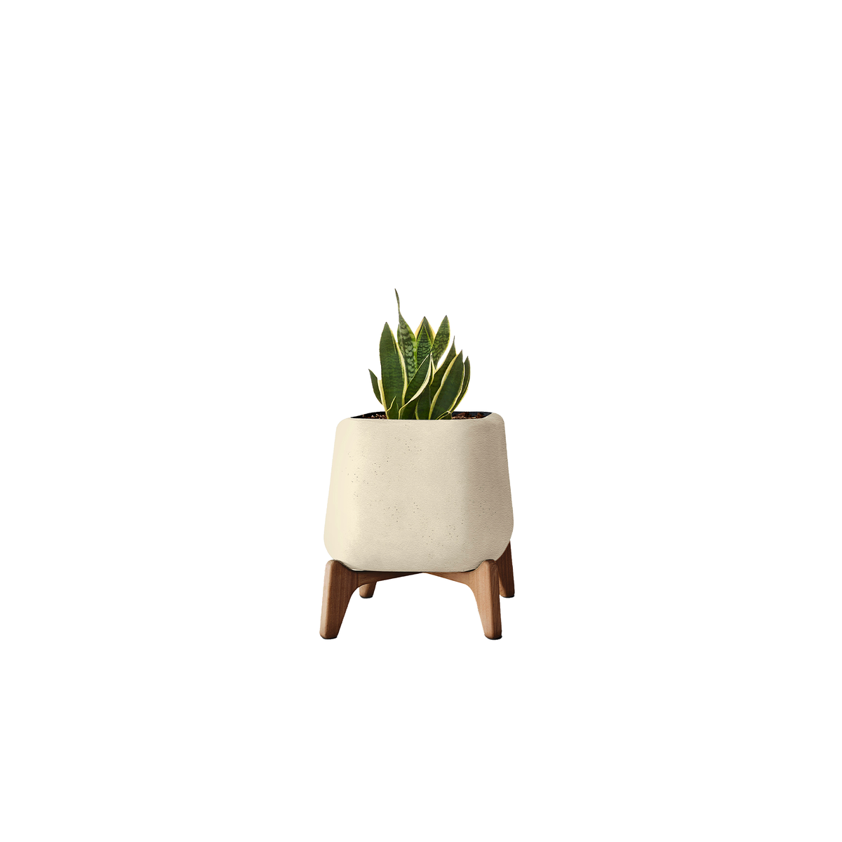 Terra Square
