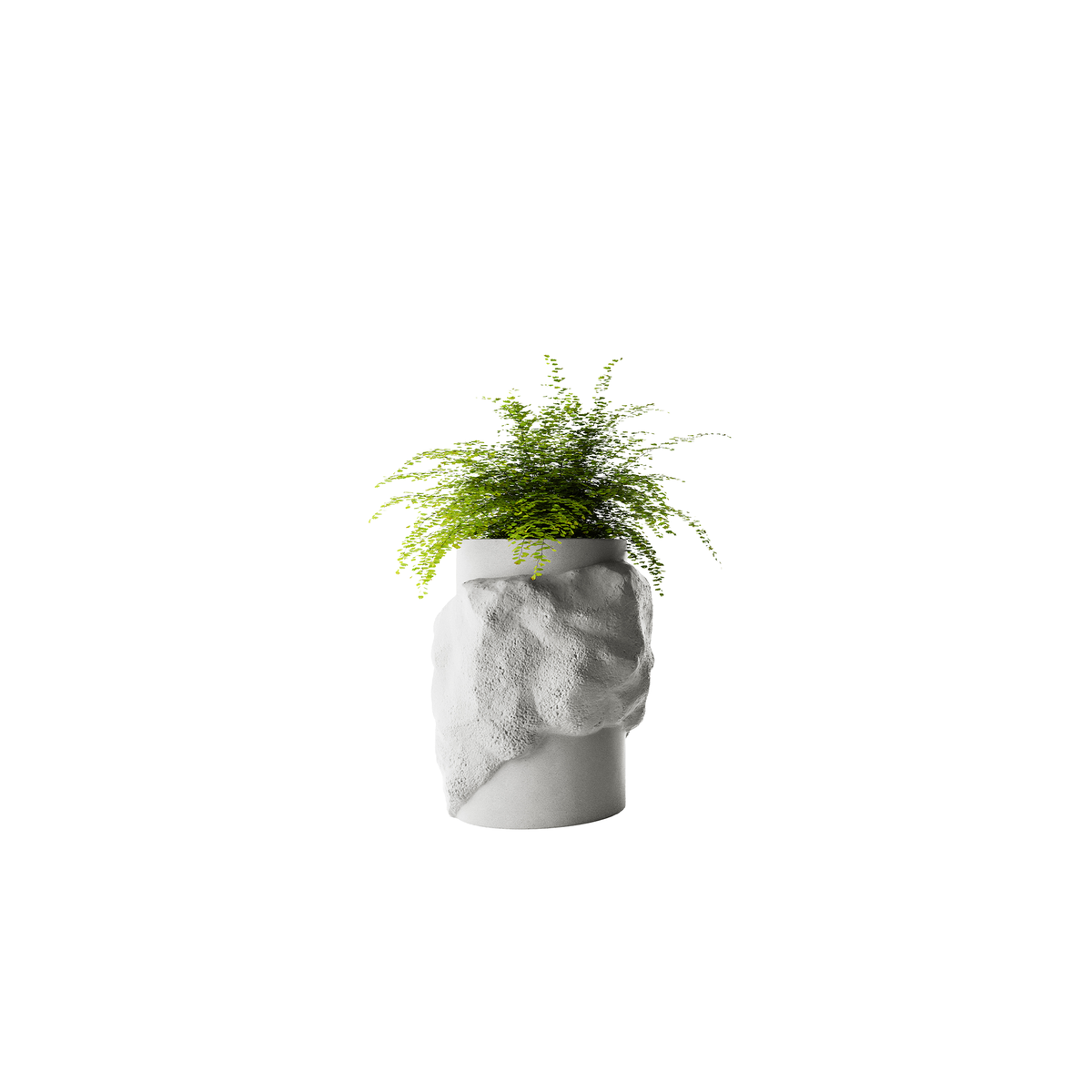 Petra Tall