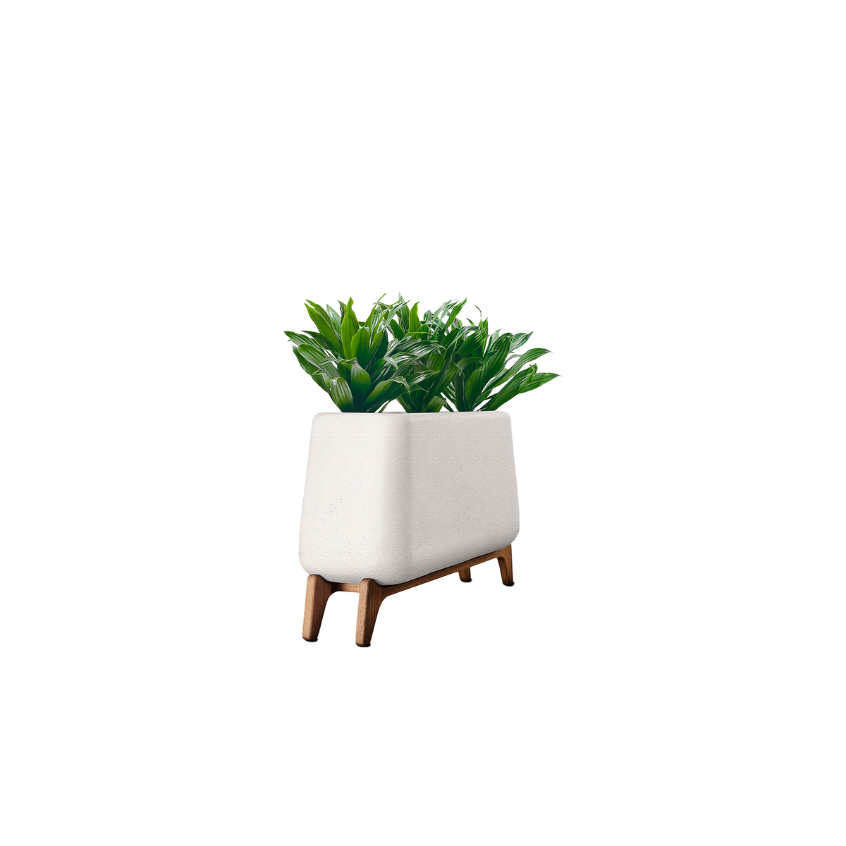 Terra Trough