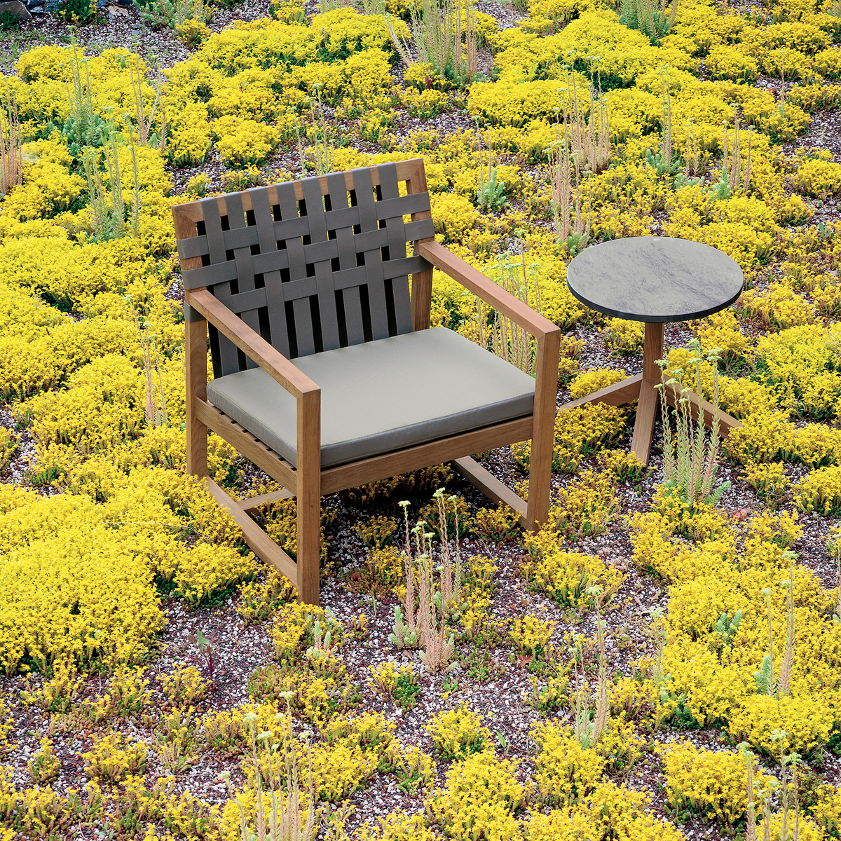 Roda Network Lounge Chair, view 2