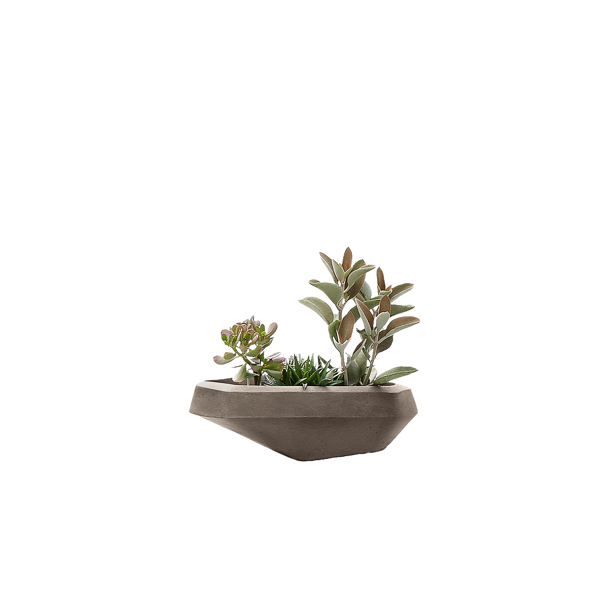 Steen Small
