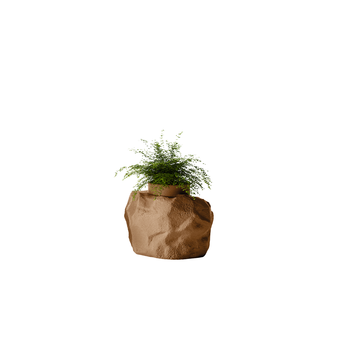 Petra Small