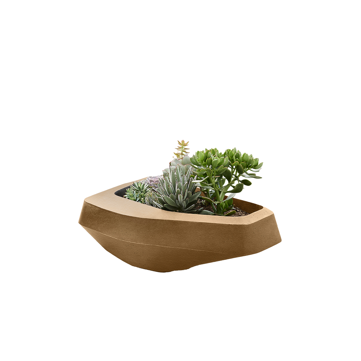 Steen Medium