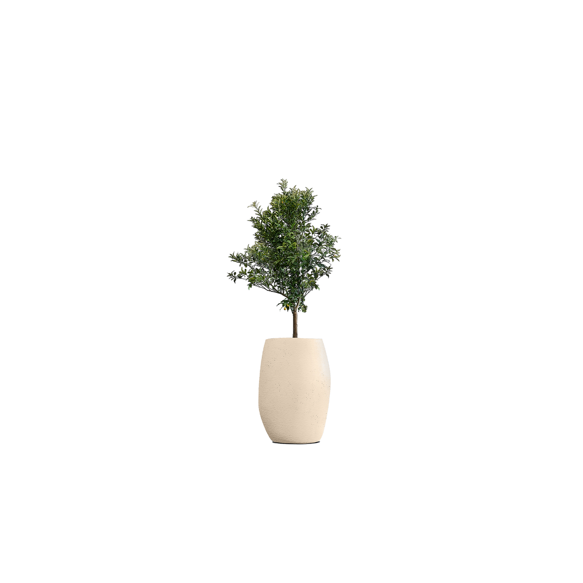 Pebble Tall
