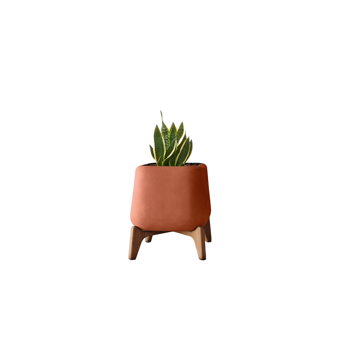 Terra Square XS