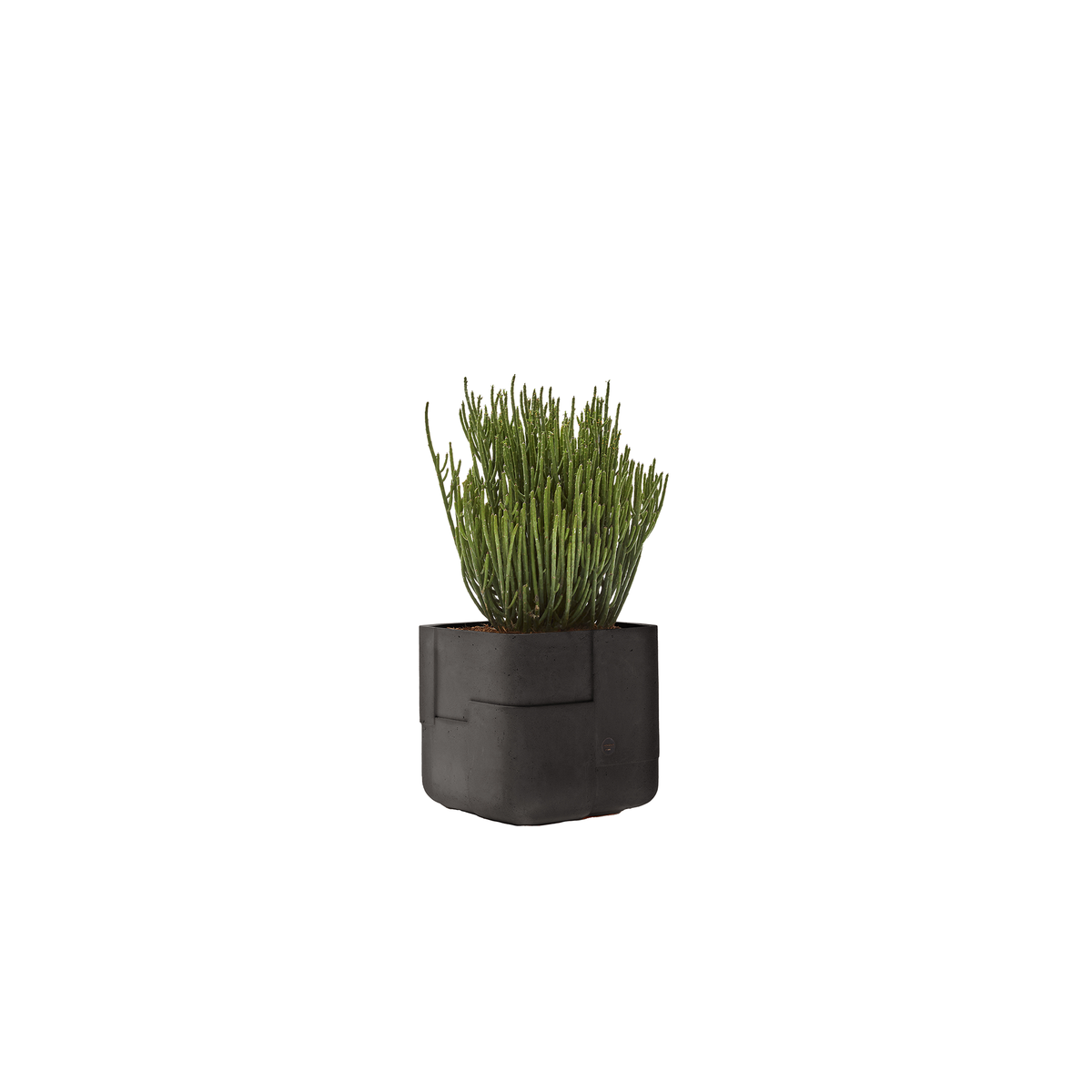 Aarde Square XS