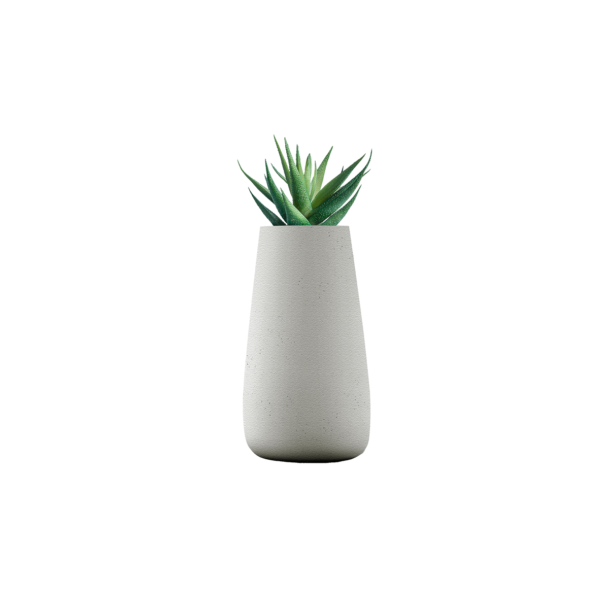 Tuber Tall Stone
