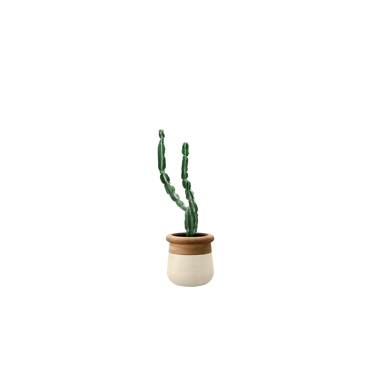 Soma Small