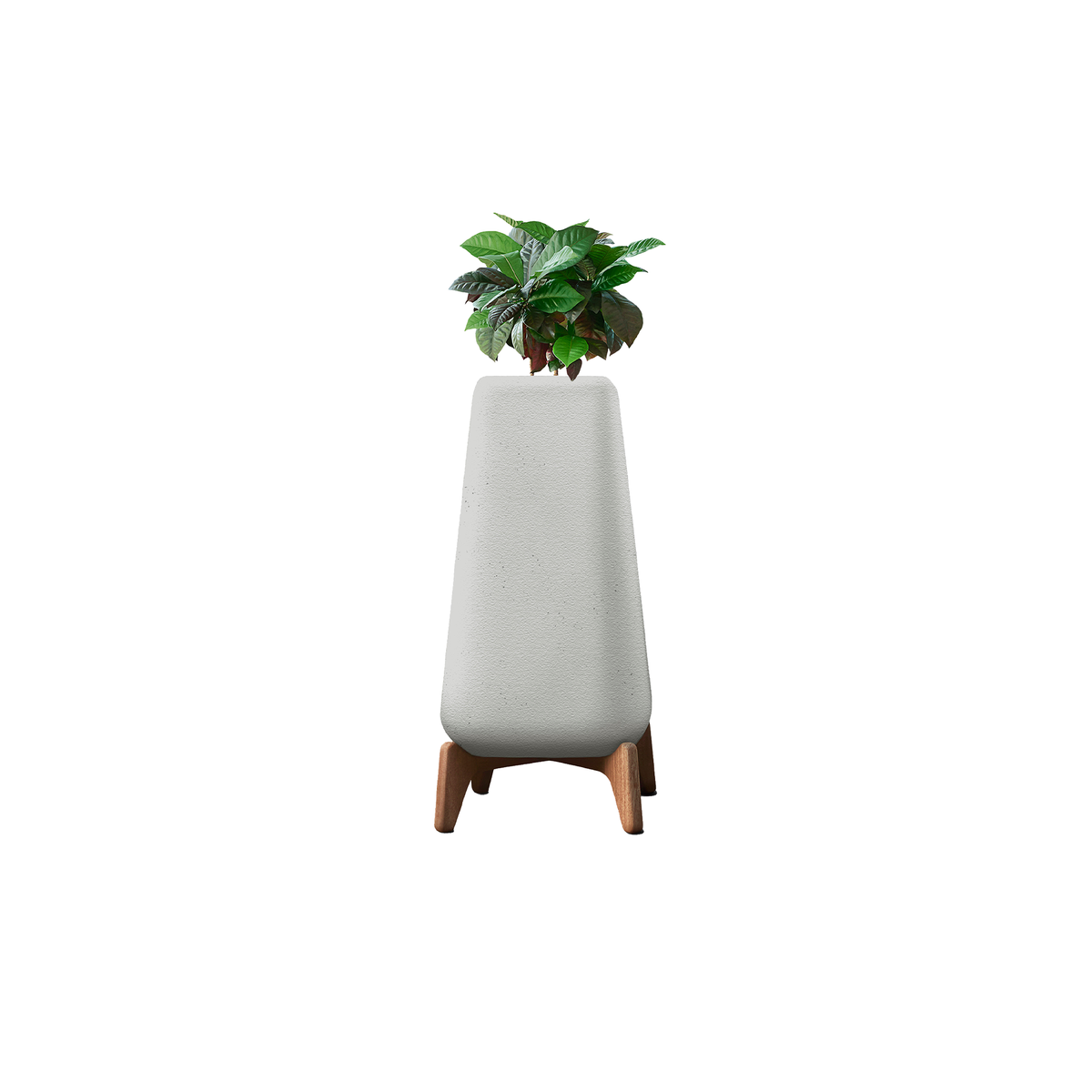 Terra Tall XS