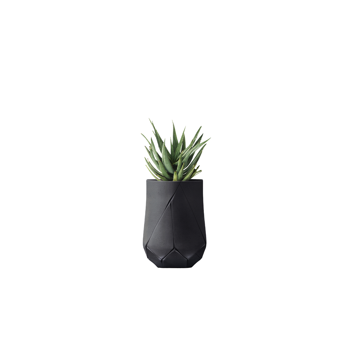 Bhaca Tall