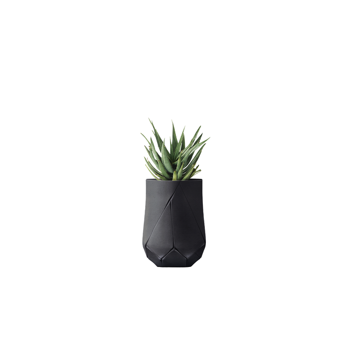 Bhaca Tall