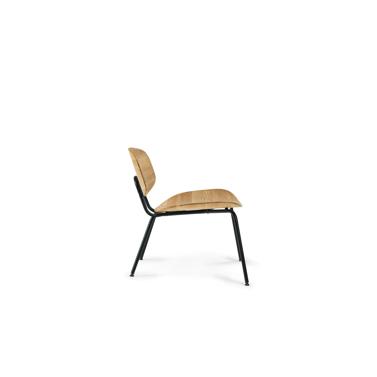 Agave Lounge Chair