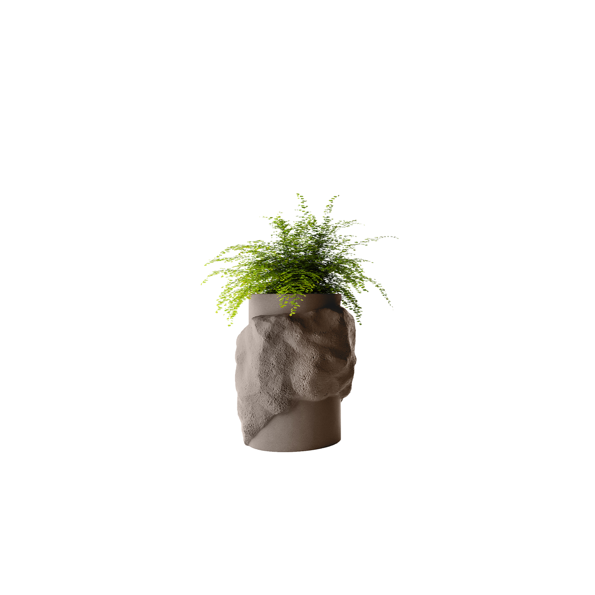 Petra Tall