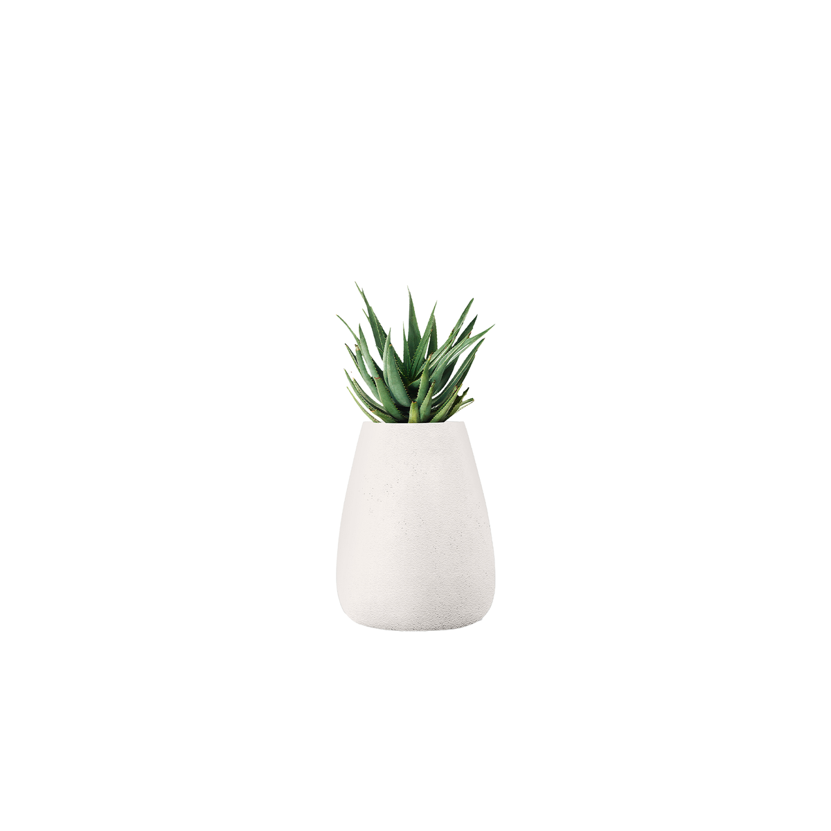 Tuber Medium Stone