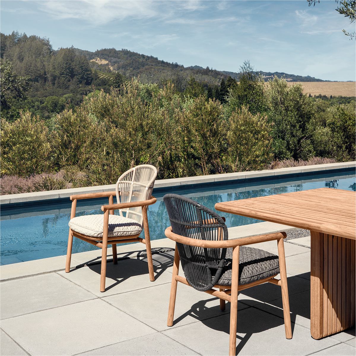 Fern Teak Dining Chair with Arms
