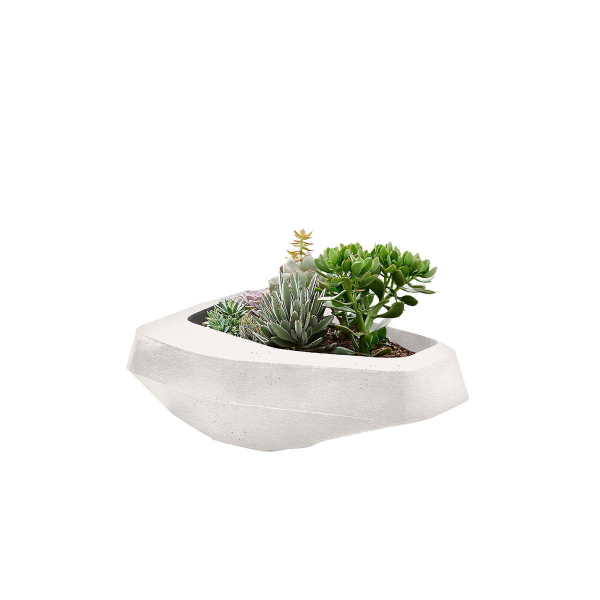 Steen Medium