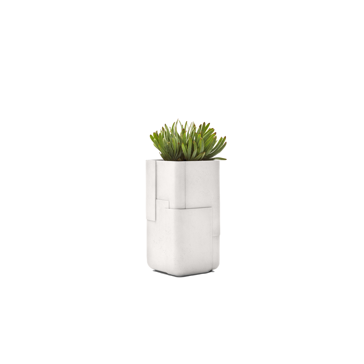 Aarde Tall XS