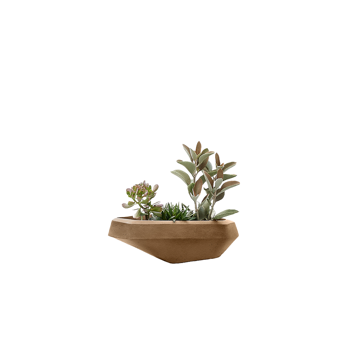 Steen Small