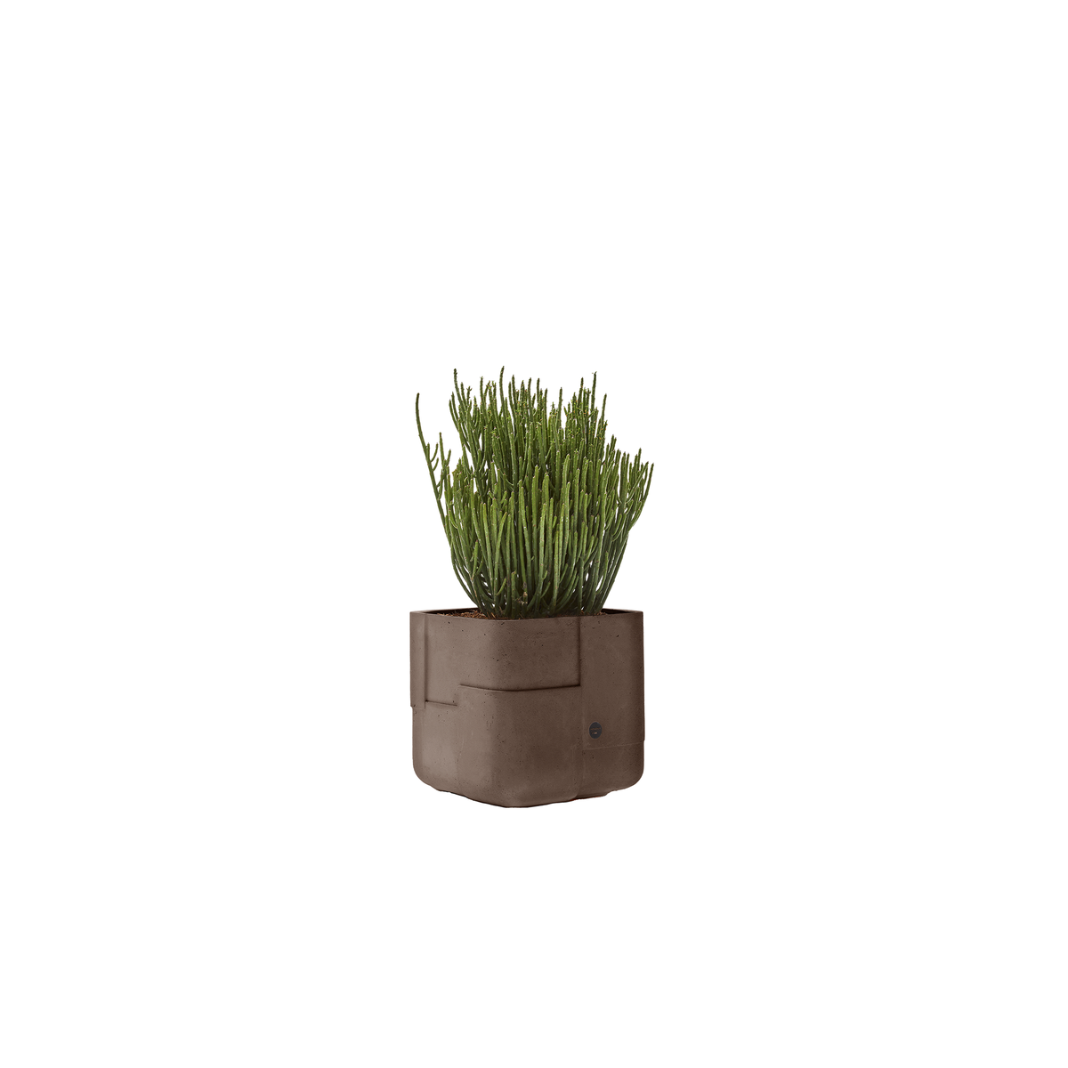 Aarde Square XS