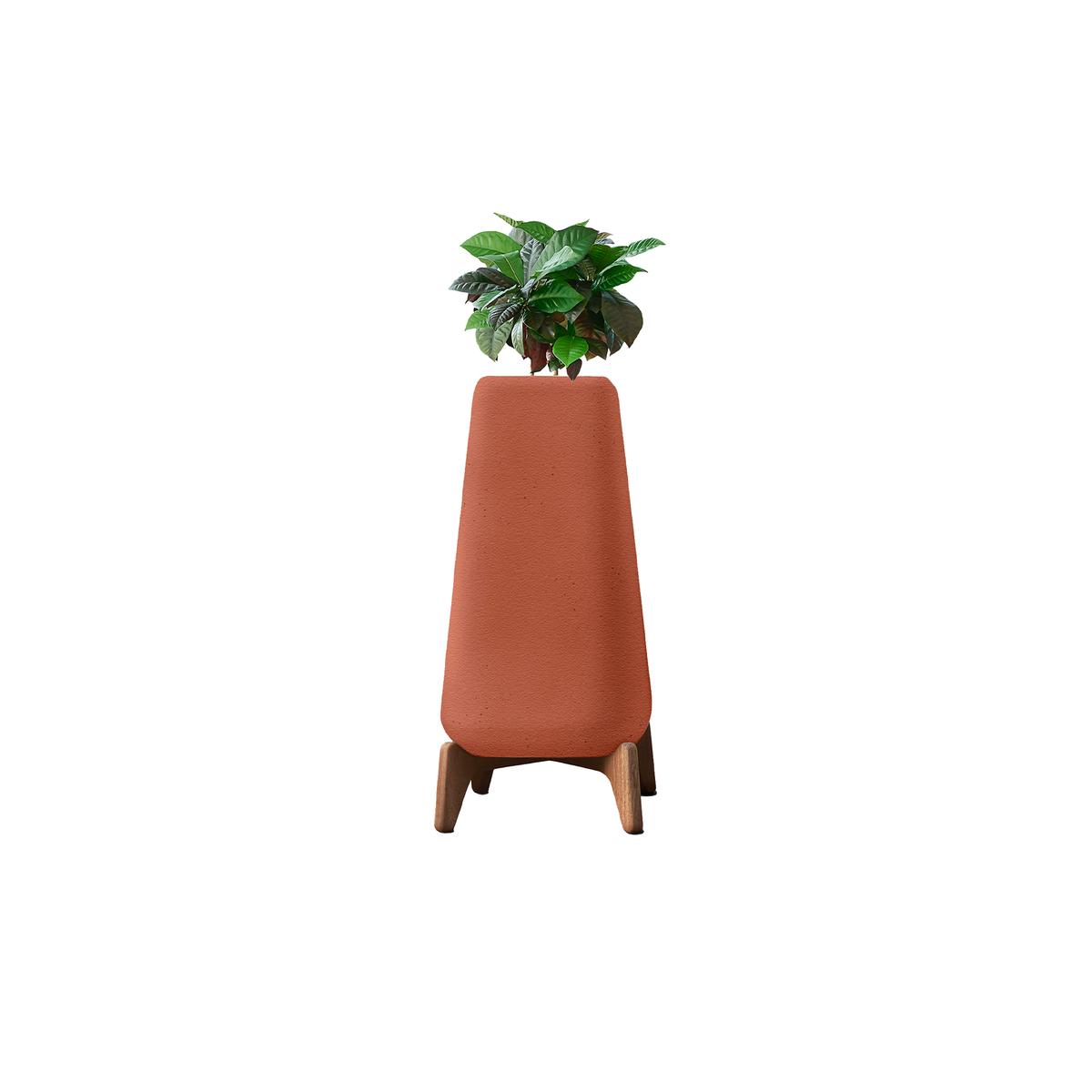 Terra Tall XS