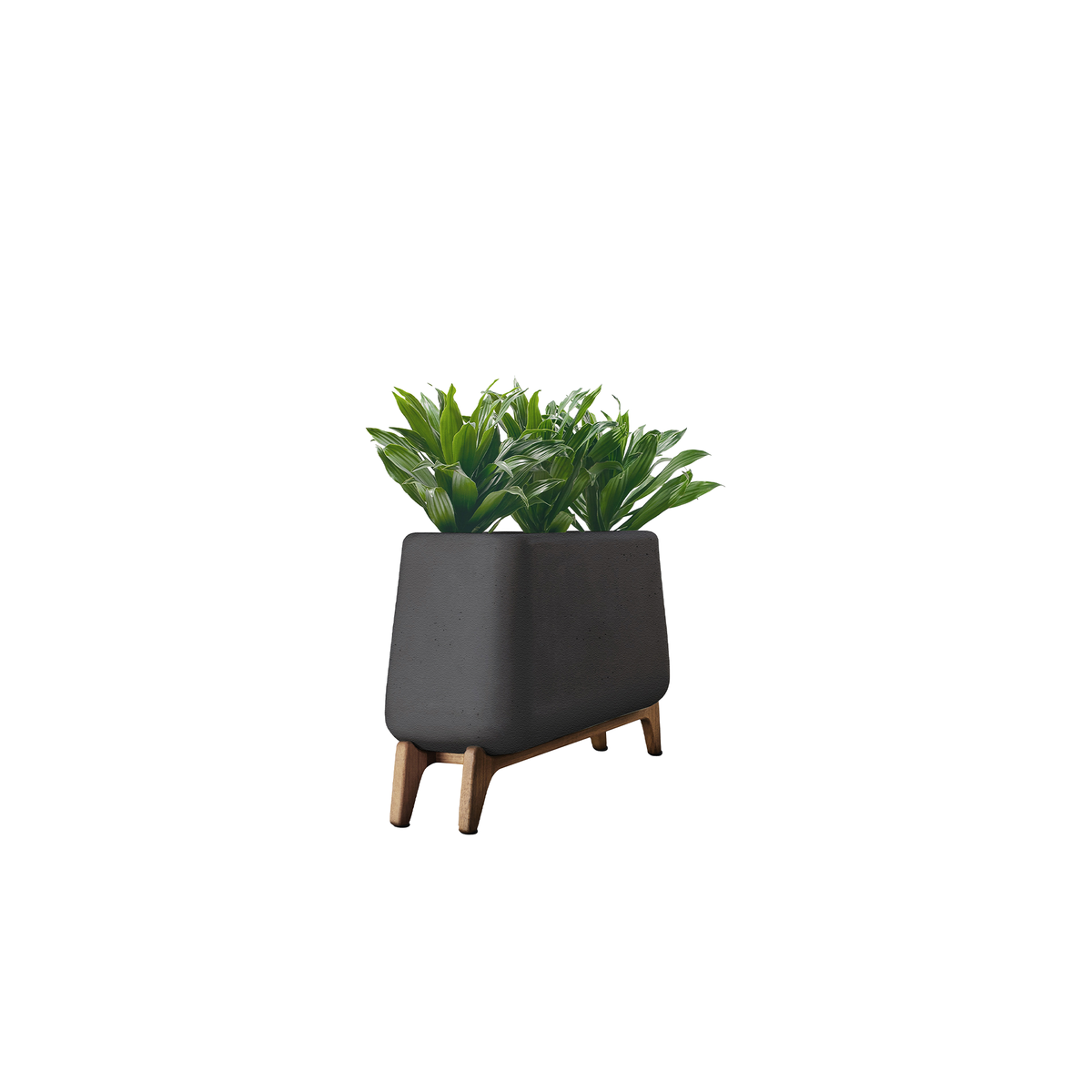 Terra Trough