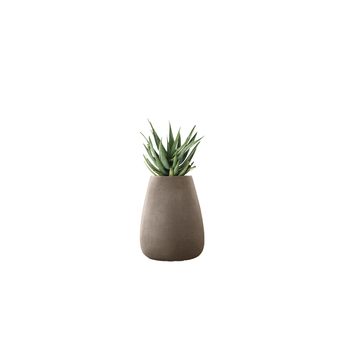 Tuber Medium Stone