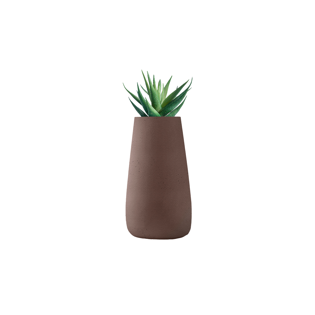 Tuber Tall Stone