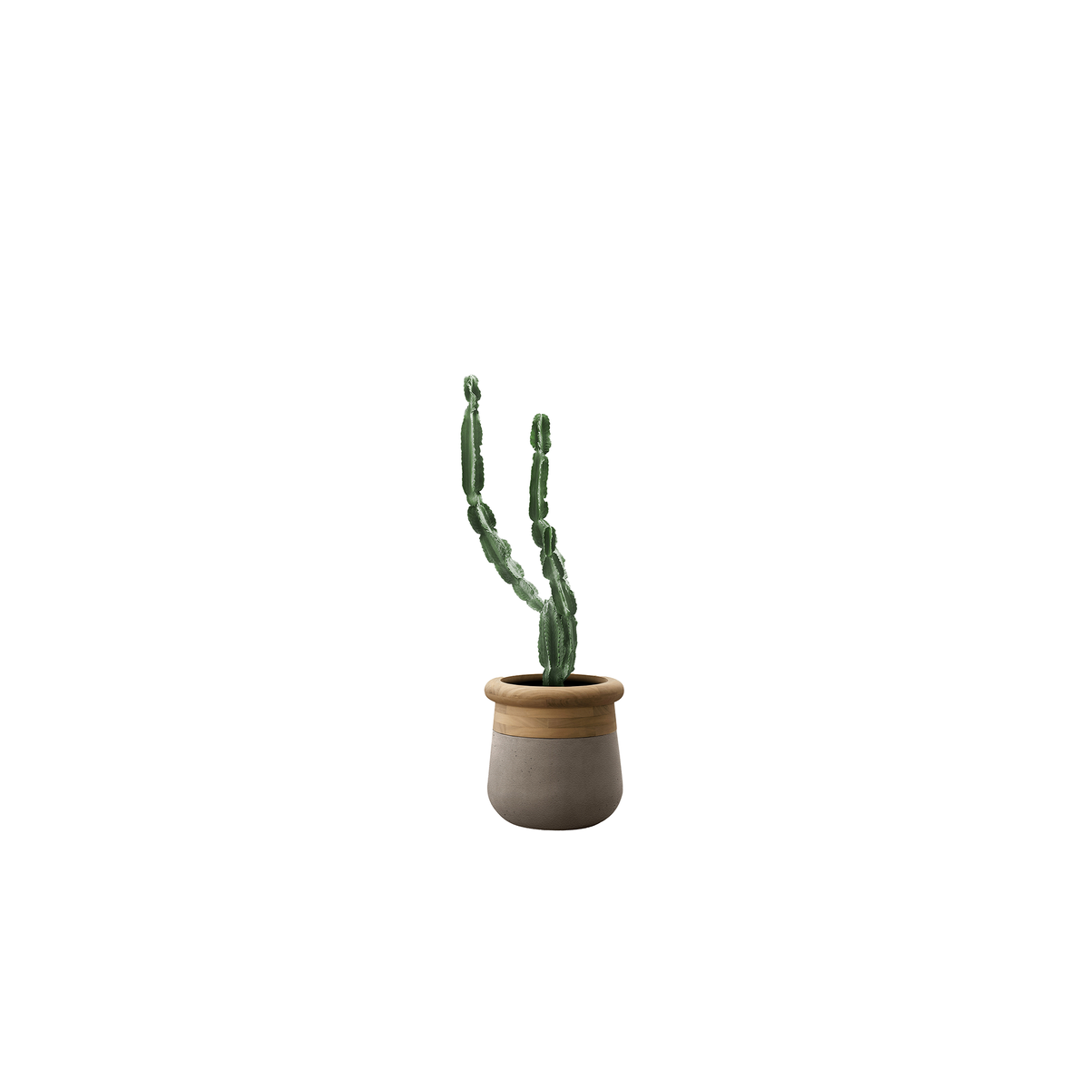 Soma Small