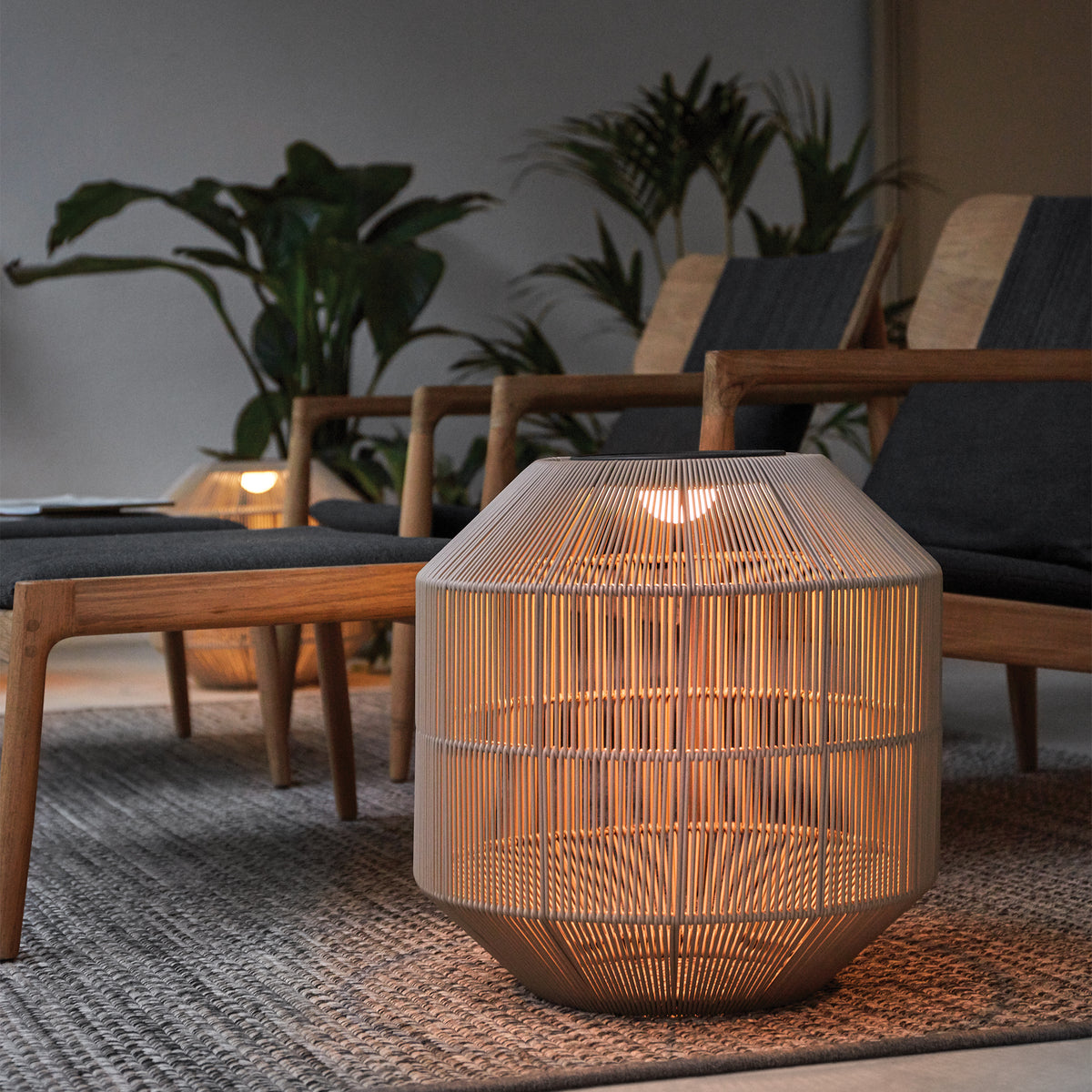 Ambient Nest