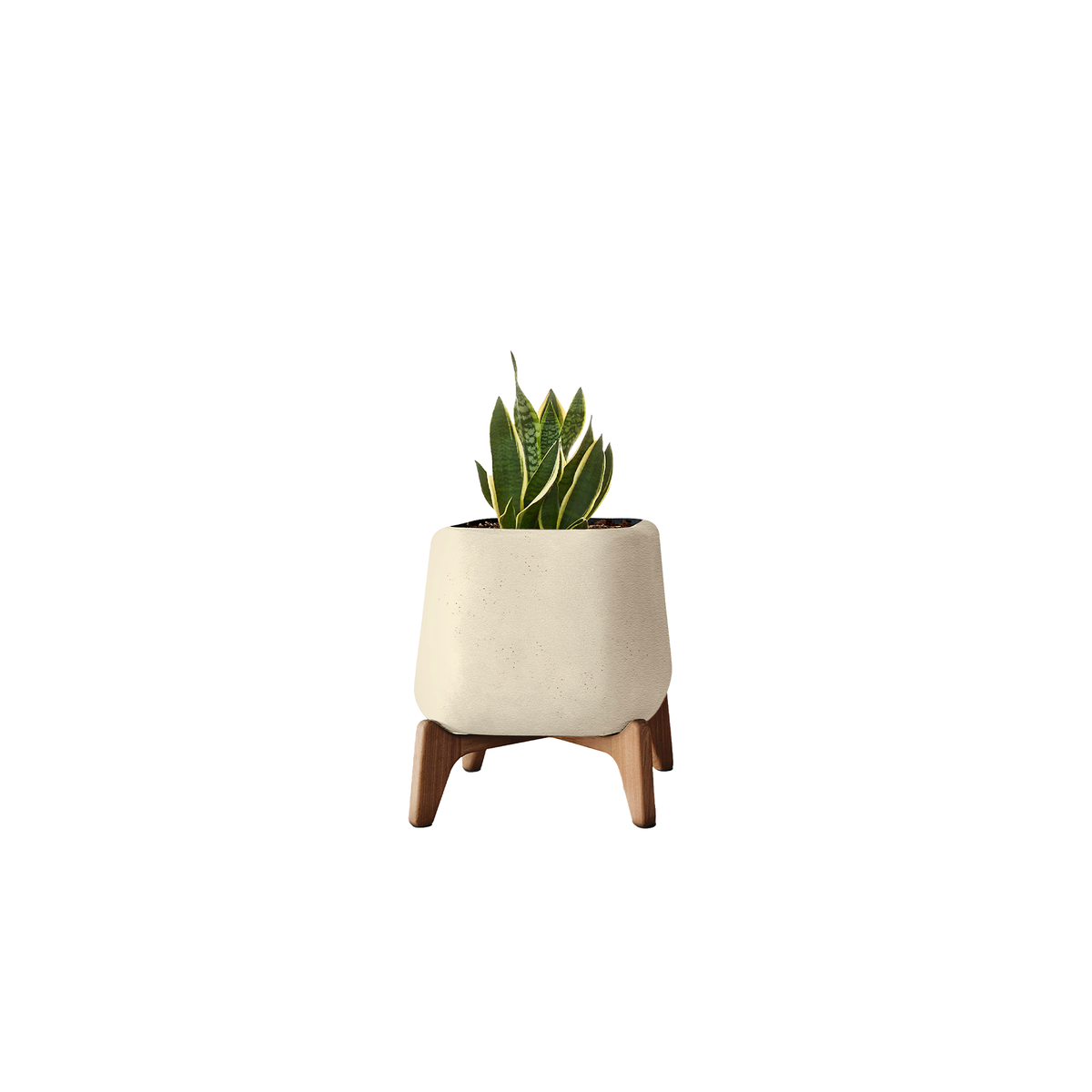 Terra Square XS
