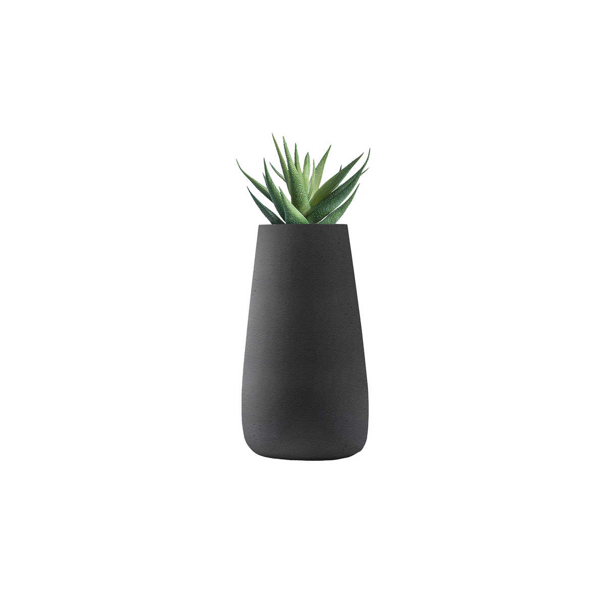 Tuber Tall Stone