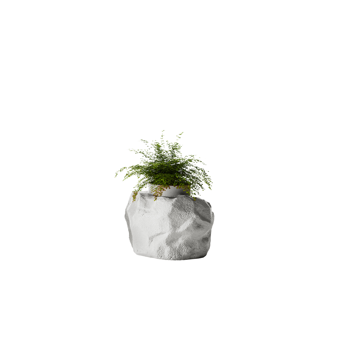Petra Small