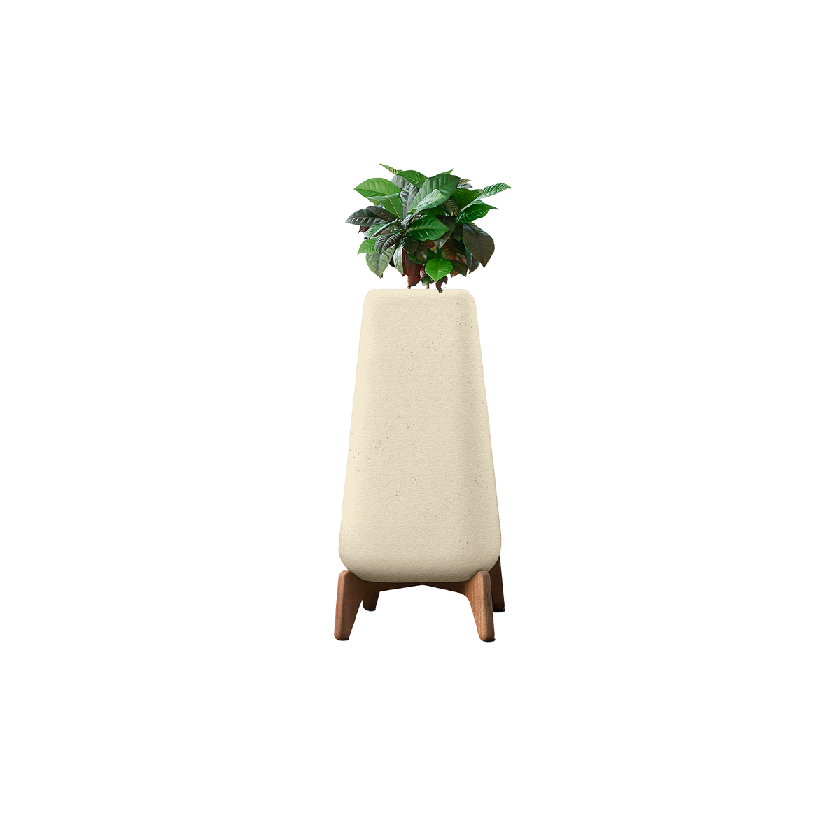 Terra Tall XS